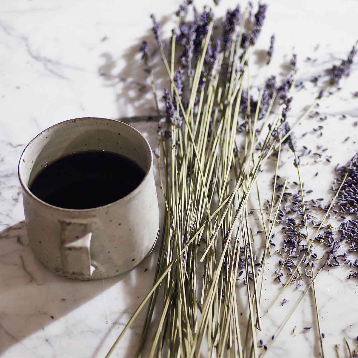 Cult Collection-Lavender & Espresso Hand Cream - 75ml
