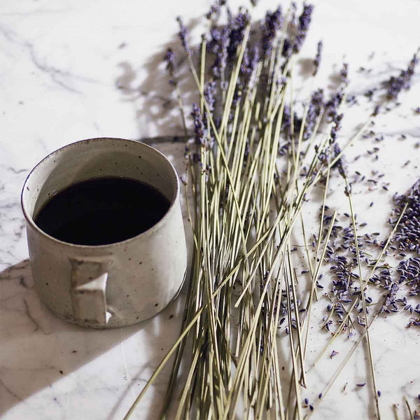 Cult Collection-Lavender & Espresso Hand Cream - 75ml