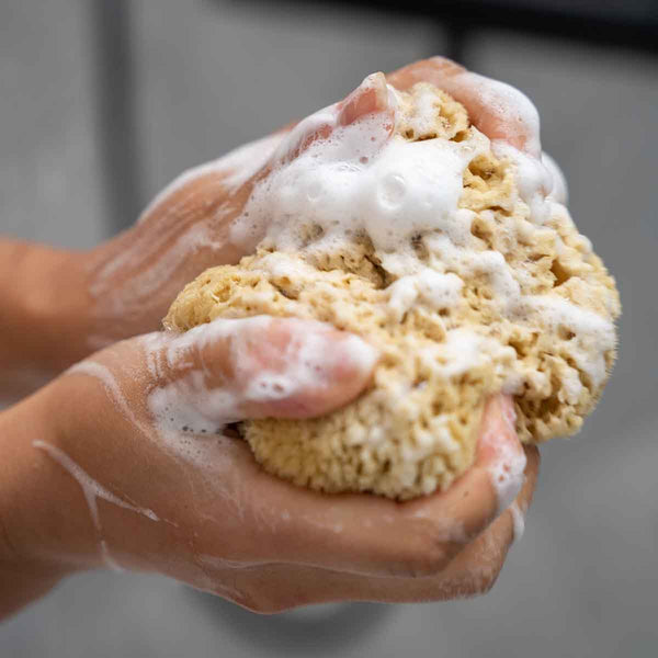 Cult Collection-Verbena & Lavender Shower Gel - 250ml