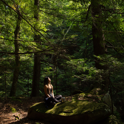 Why Forest Bathing is the new Sound Bathing